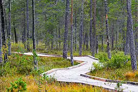 Chemin avec ses planches dans les zones à fort passage