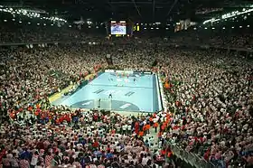 Image illustrative de l’article Finale du Championnat du monde masculin de handball 2009