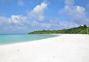 Image illustrative de l’article Hanimaadhoo