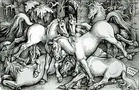 Hans Baldung, Combat d'étalons, 1534.