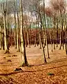 Forêt de hêtres hivernale (huile sur contreplaqué, 1920)
