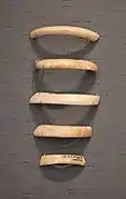 Fragments de bracelets en coquillage. British Museum.