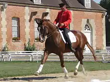 Veste d'équitation rouge à galons dorés, au Haras national du Pin