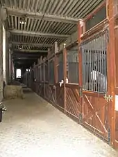 Boxes à chevaux avec des grilles le long d'un couloir