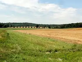 Vue d'une partie des buttes de Rosne depuis l'est.