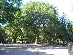 Image illustrative de l’article Tompkins Square Park