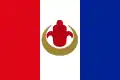 Drapeau de harkis.