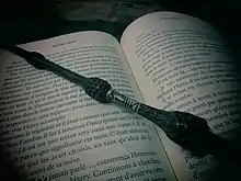 Livre ouvert sur une double page de textes. Une baguette magique avec plusieurs bosses est posée en travers sur le livre.