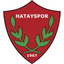 Logo du Hatayspor