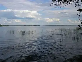 Image illustrative de l’article Lac Haukivesi