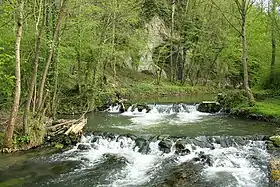 rivière - Molignée