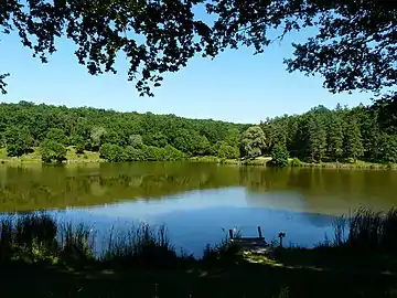 L'étang du Coucou alimenté par le Thévenot, en limite de Hautefort et Nailhac. Vue prise depuis la rive ouest.