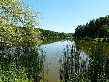 Idem. Vue prise depuis la rive nord.