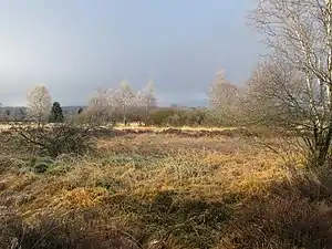 Paysage typique des Hautes Fagnes.