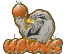 Logo du Hawkes Bay Hawks