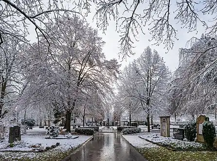 Cimetière près de la rue Heidelberger à Heilbronn, allée principale. Janvier 2023.