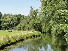 Bord du Thérain au nord de la commune de Heilles.