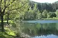 Lac Helmbachweiher