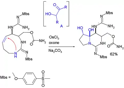 Formation de l'hémiaminal dans la synthèse totale du saxitox in synthesis