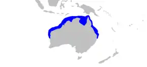 Description de l'image Hemigaleus australiensis distmap.png.