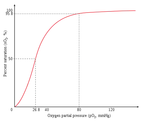 Taux de saturation en O2 de l'hémoglobine en fonction de la pression partielle d'O2 ; parfois appelée courbe de Barcroft, elle est sigmoïde en raison de l'effet coopératif accompagnant la liaison de l'oxygène à l'hémoglobine.
