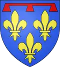 Blason de Henri, duc d'Anjou