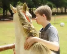 Un jeune garçon caresse la crinière d'un cheval