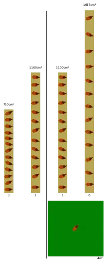 Diagram montrant le nombre de m² pour 13 poules pour les différents niveaux: de 3 (gauche) à 0 (droite).