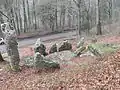 Cromlech des Fourneaux, Hérimoncourt