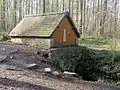 Fontaine dans la forêt.