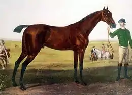 Peinture représentant un cheval bai tenu en main; des chevaux et des cavaliers sont en arrière-plan.