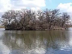 Héronnière (Walthamstow Reservoirs, Angleterre)