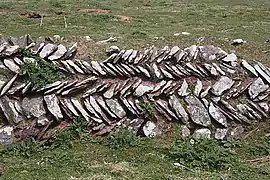 Mur champêtre à l'appareil en épi ; près de Mad Bay, Pembrokeshire (Grande-Bretagne).