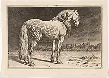 Gravure d'un gros cheval pommelé.