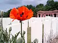 Cimetière militaire d'High Wood (France).