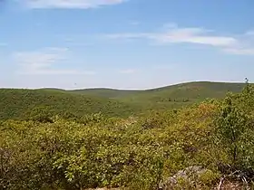 Vue du mont Frissell depuis Bear Mountain.