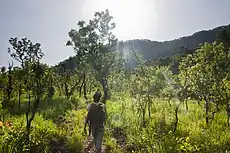 Parc national de Kyabobo (Ghana).