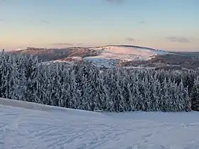 Vue depuis l'Arnsberg vers le nord en direction du Himmeldunkberg.