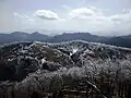 Arbres avec gelée vus du sommet du mont Hinokizuka Okumine