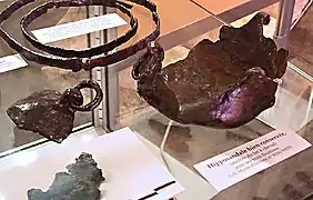 Une hipposandale gallo-romaine.