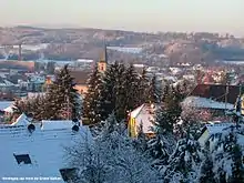  Hirsingue vue du Banholz