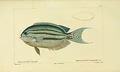Description de l'image Histoire naturelle des poissons (10438577344).jpg.