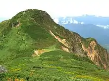 Photo couleur d'un sommet de montagne couvert de verdure, sur fond de ciel blanc laiteux.