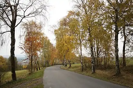 Route de Hlinsko en automne.