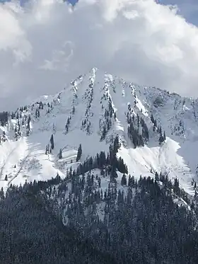 Vue du Hochgerach.