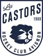 Description de l'image Hockey club d'Avignon 2020.png.