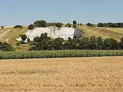 Ancienne carrière de craie, côte Blanche