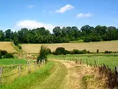 Chemin rural n°10, vers le GR11