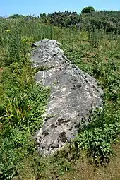 Menhir couché