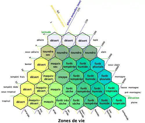 Influence combinée des facteurs géographiques climatiques sur les écosystèmes (en réalité les écosystèmes influent aussi rétroactivement sur le climat et produisent du relief, sur le très long terme).